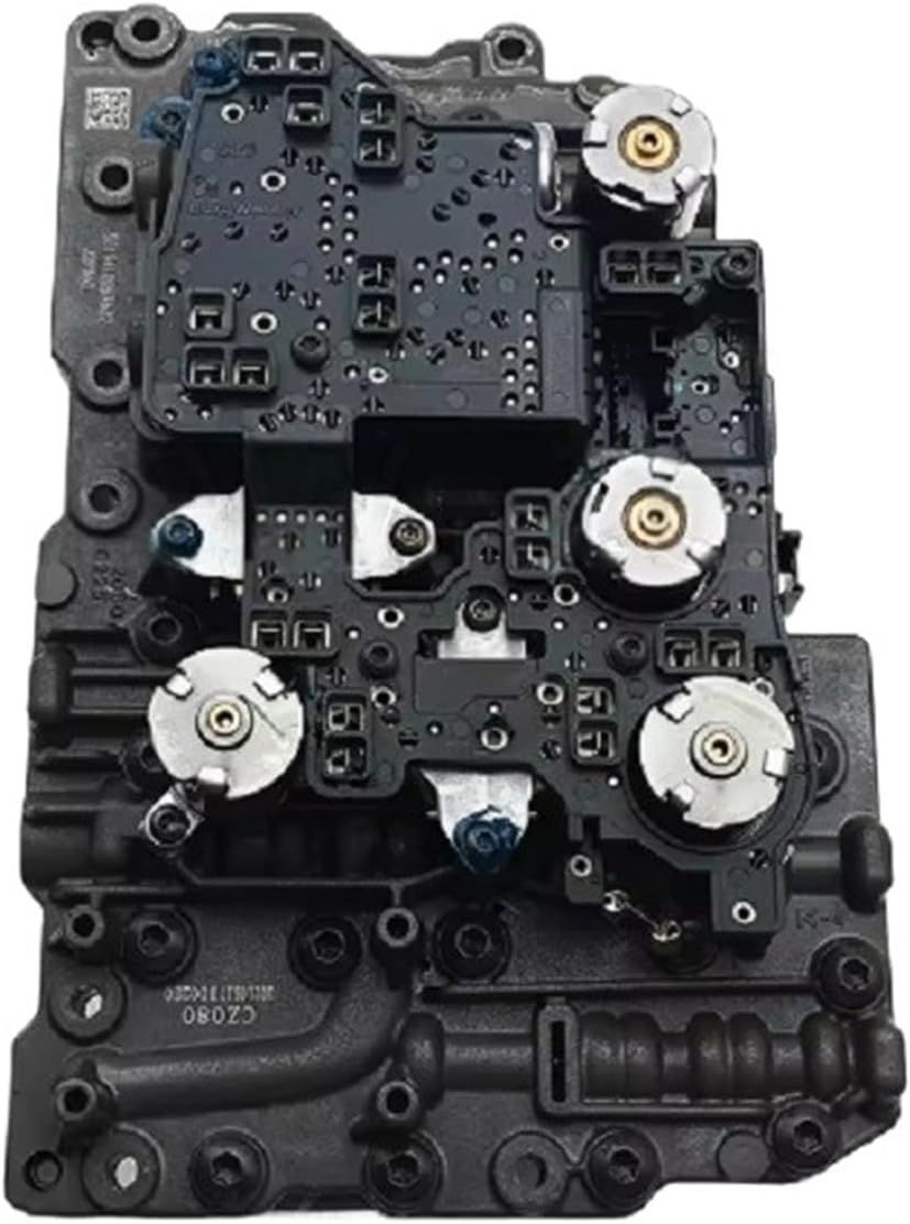 宿根 フランス直輸入 ライラック『カルベティエム』プレジデント